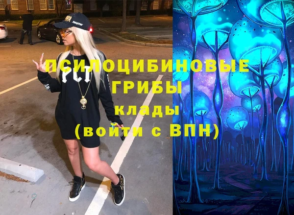 прущие грибы Балабаново