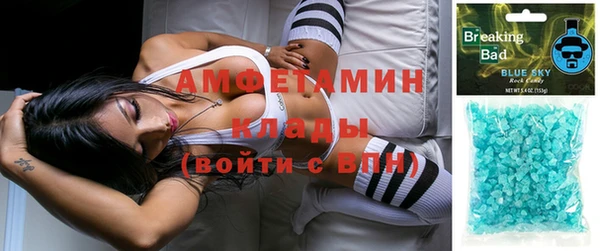 прущие грибы Балабаново